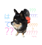 もりやこむぎ（個別スタンプ：24）