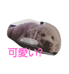 ハッピー スマイル（個別スタンプ：5）