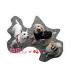 ハッピー スマイル（個別スタンプ：8）