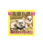 エルジュリシュガ〜（個別スタンプ：5）