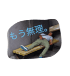 しーふぁすスタンプ1（個別スタンプ：8）