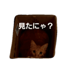 どーも、きなこです。（個別スタンプ：1）