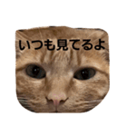 どーも、きなこです。（個別スタンプ：5）
