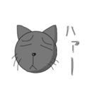 グレー猫あっさり顔（個別スタンプ：6）