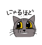 ロシアンブルーロン毛？（個別スタンプ：7）