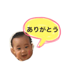 ha-toスタンプ（個別スタンプ：8）