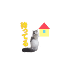 チャッピーのスタンプ（個別スタンプ：2）