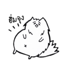 I'm just a Pomeranian（個別スタンプ：1）