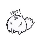 I'm just a Pomeranian（個別スタンプ：8）