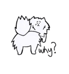 I'm just a Pomeranian（個別スタンプ：10）