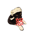 靴下ねこ るー（個別スタンプ：7）