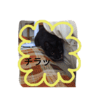 靴下ねこ るー（個別スタンプ：28）