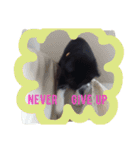 靴下ねこ るー（個別スタンプ：29）