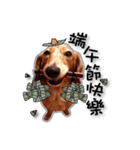 Dachshund GaGa part7(festival)（個別スタンプ：4）