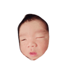 え？？（個別スタンプ：6）