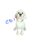 バーボン♪)))（個別スタンプ：1）