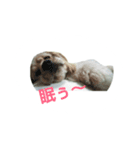 バーボン♪)))（個別スタンプ：2）