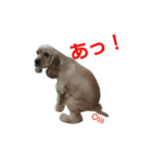 バーボン♪)))（個別スタンプ：3）