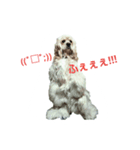 バーボン♪)))（個別スタンプ：6）