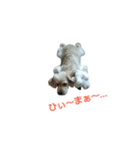 バーボン♪)))（個別スタンプ：7）