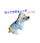 バーボン♪)))（個別スタンプ：8）