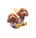 チャイ＆ミュー（個別スタンプ：3）