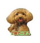 チャイ＆ミュー（個別スタンプ：4）