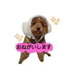 チャイ＆ミュー（個別スタンプ：7）