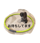 ねこねこ商店（個別スタンプ：7）