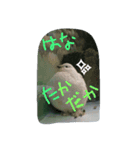 可愛いライチョウ（個別スタンプ：4）