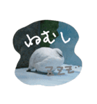 可愛いライチョウ（個別スタンプ：6）