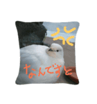 可愛いライチョウ（個別スタンプ：8）