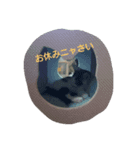 仁ちゃん（個別スタンプ：3）