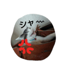 仁ちゃん（個別スタンプ：5）