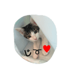 仁ちゃん（個別スタンプ：7）