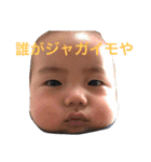 SUGIOKAsan.（個別スタンプ：31）