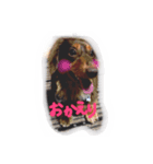 うちのサスケ（個別スタンプ：7）
