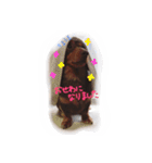 うちのサスケ（個別スタンプ：11）