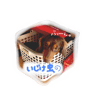 うちのサスケ（個別スタンプ：13）