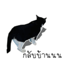 Black cat with winkky（個別スタンプ：7）