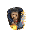 毛玉犬 summer（個別スタンプ：7）
