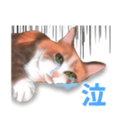ちーちゃんですがなにか？（個別スタンプ：4）