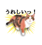 ちーちゃんですがなにか？（個別スタンプ：8）