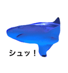 シュールな海洋生物（個別スタンプ：2）