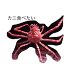 シュールな海洋生物（個別スタンプ：3）