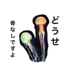 シュールな海洋生物（個別スタンプ：4）