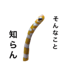 シュールな海洋生物（個別スタンプ：7）