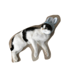 かぶりものな猫（個別スタンプ：7）