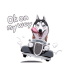 Goofy Dogster (English Version)（個別スタンプ：15）