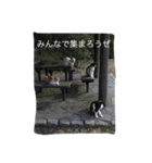 仲間へ（個別スタンプ：2）